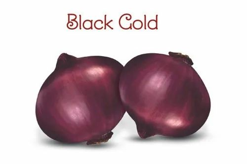 NEELAM Red Black Gold Onion seeds, Packaging Type: Box, Packaging Size: 500 Gm