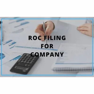 Consulting Firm Offline,Online ROC Filing Service