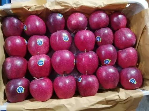 A Grade Red Iranian Apple, Packaging Size: 10 Kg, Packaging Type: Plastic Bag