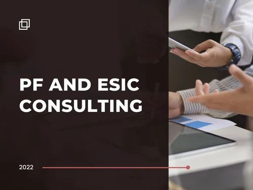 Pf And Esi Consultant