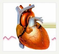 Clinical Cardiology