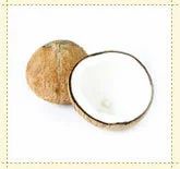 Coconut Products