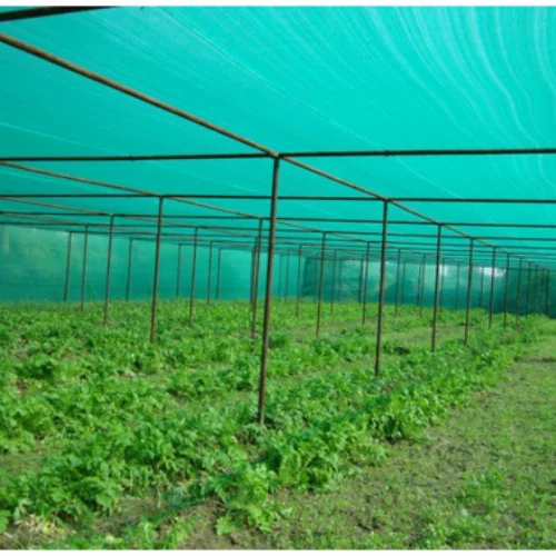 Green Kanpur Polyhouse Shed Net, For Agriculture