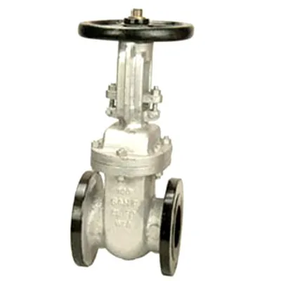 Cast Steel Gate Valve