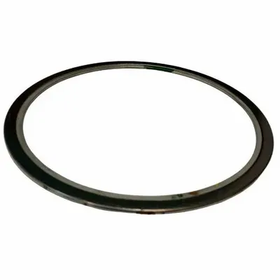 Ss + Graphite Black Gate Globe And Check Valve Body Bonnet Gasket