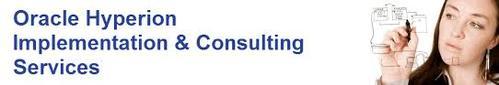 Implementation Consulting Services