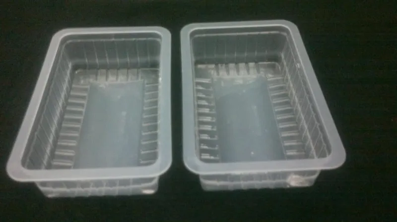 250 Gm Natural Rectangle Container