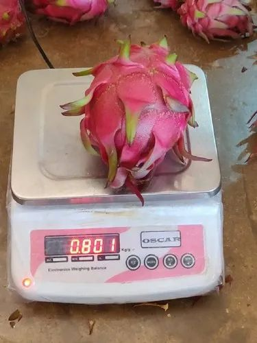 A Grade Pink Dragon Fruit, Packaging Type: Carton, Packaging Size: 10 Kg