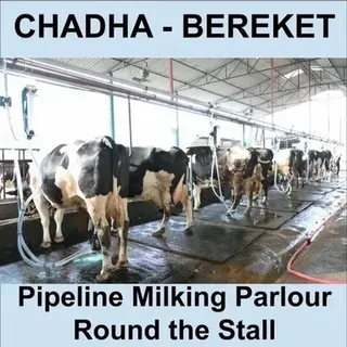 Pipeline Milking Parlour (RTS)