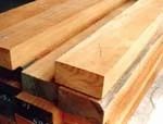 Timber & Wood Products