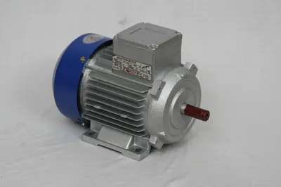 1001-1500 RPM <0.5 hp Induction Motor, 415 V, IP Rating: IP44