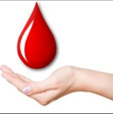 Blood Transfusion Services