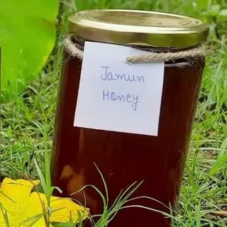 Premium Jamun Honey