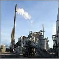 Biomass Generators