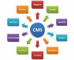 CMS Websites Development