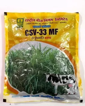 Hybrid CSV 33 MF- Fodder Seed, Packaging Type: Plastic, Packaging Size: One Kg