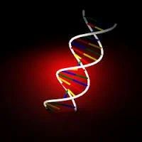 Cardiology Genetic Tests