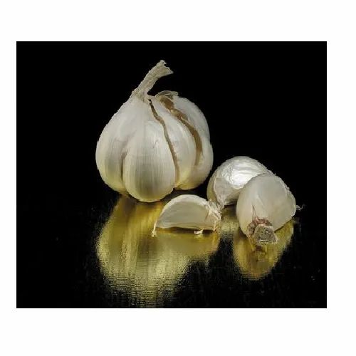 Garlic Extract