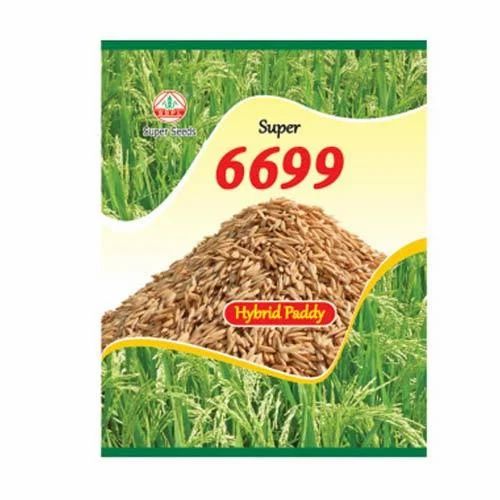Hybird Paddy Seeds Super 6699