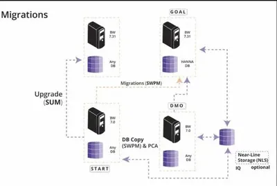 Migration Services