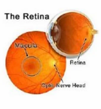 Retina Vitreous Treatment Service