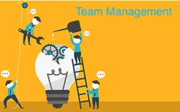 Team Management Service