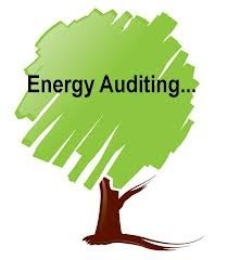 Energy Audits & Analysis