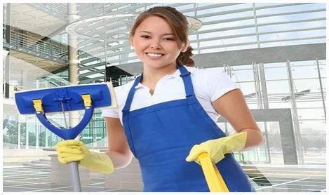 Project Cleaning Services