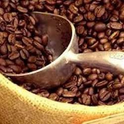 Pure Organic Coffee Bean