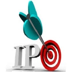 Initial Public Offering Service (IPO)