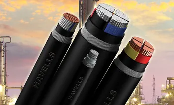 LT Power Havells Wire Cables