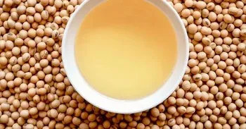 Mono Saturated Soybean Oil, Packaging Type: Plastic Container, Packaging Size: Multiple sizes