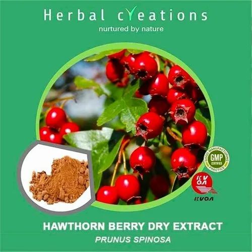 Hawthorn Berry Dry Extract Prunus Spinosa