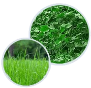 Agro Fertilisers Inorganic