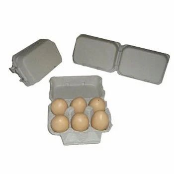 6 EGG Cartons