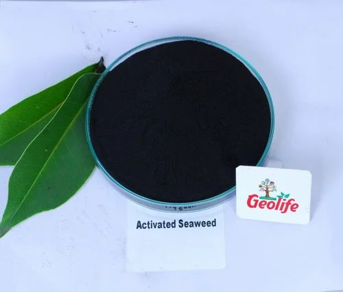 Powder Activated Seaweed