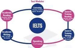 Abroad IELTS in training