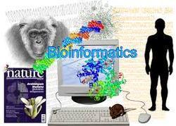 Basic Bioinformatics Services