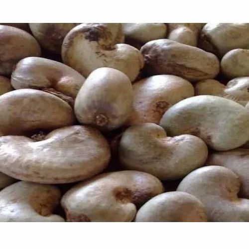 AVSL 80 Kg Raw Cashewnut Shells