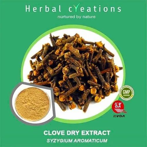 Herbal Creations Clove Dry Extract Syzgium Aromaticum, Packaging Type: HDPE Drum, Pack Size: 40Kg