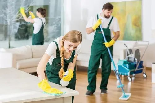 Domestic Housekeeping Service