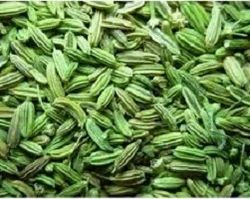 Fennel Seeds