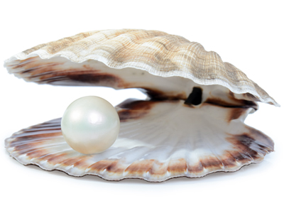 Aquadry Pearl