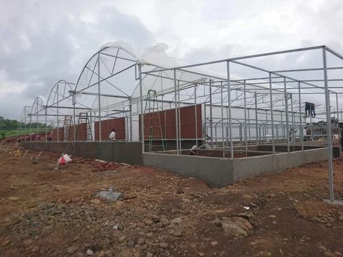 Greenhouse Design Services, For Agriculture, Coverage Area: <1000 Square Feet