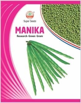 Moong Seeds Manika (Improved)