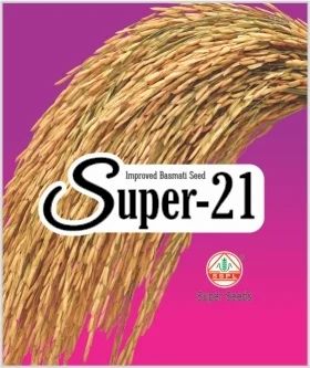 Improved Paddy Seeds Super 21