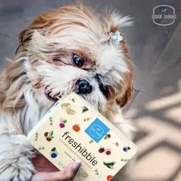 Buy Freshibble - Cottage Cheese & Vegetables | Freeze Dried Dog Food