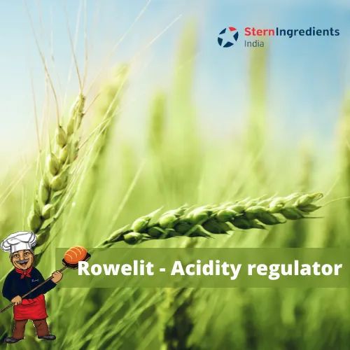 Improver Rowelit - Acidity Regulator Powder