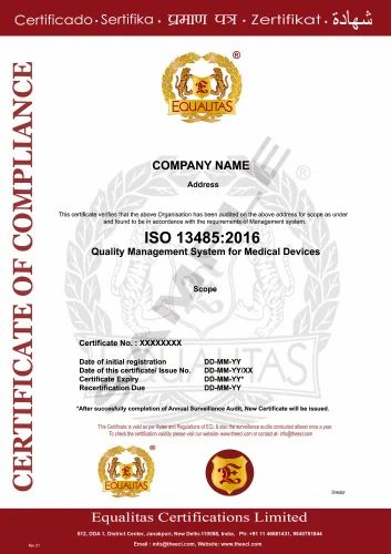 ISO 13485 2003 Certification Service, For Manufacturing