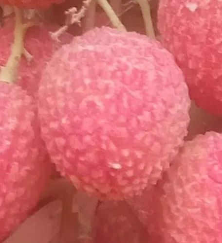 SKILL Foods Sahi And Chanise Lychee, Packaging Size: 10 Kg, Size: 25-40MM